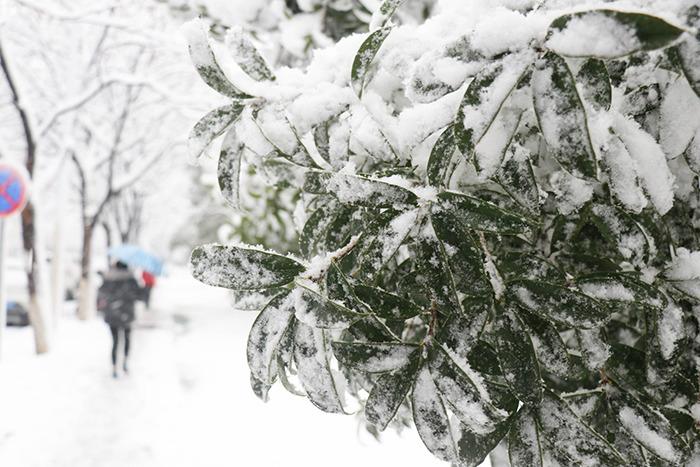 南方多地开启降雪模式